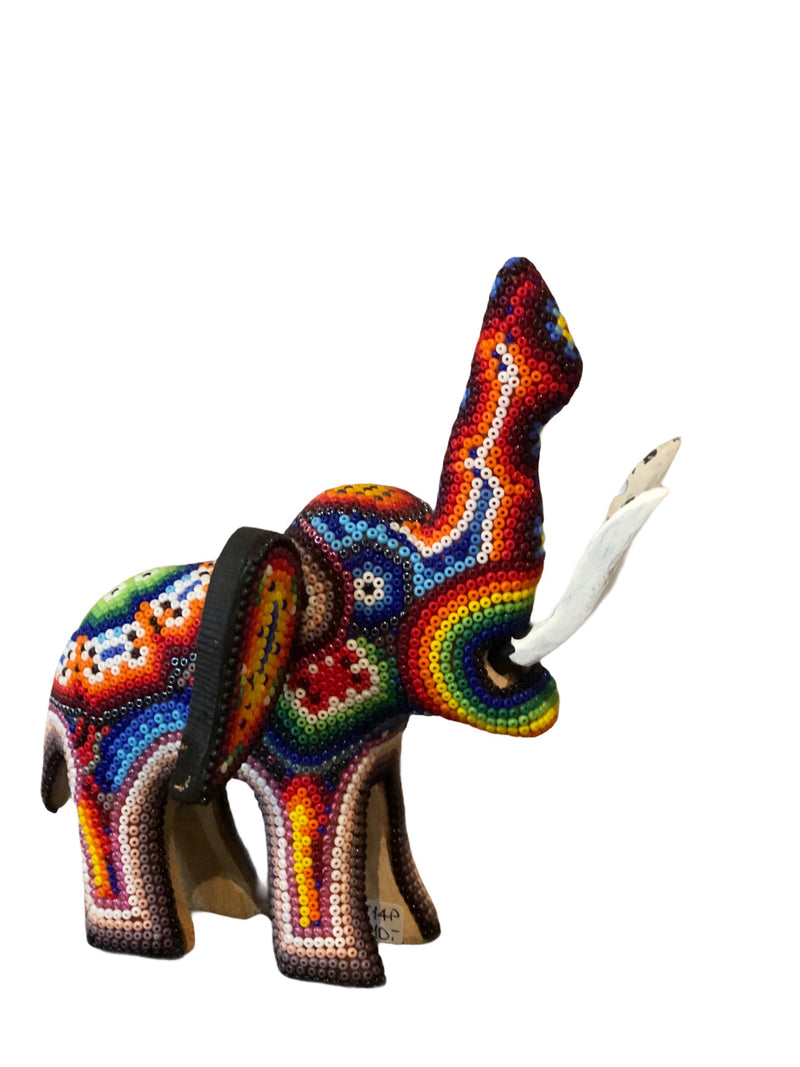 Elefante decorado con chakira